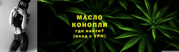 гашик Дмитриев