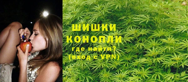 ПСИЛОЦИБИНОВЫЕ ГРИБЫ Дмитров