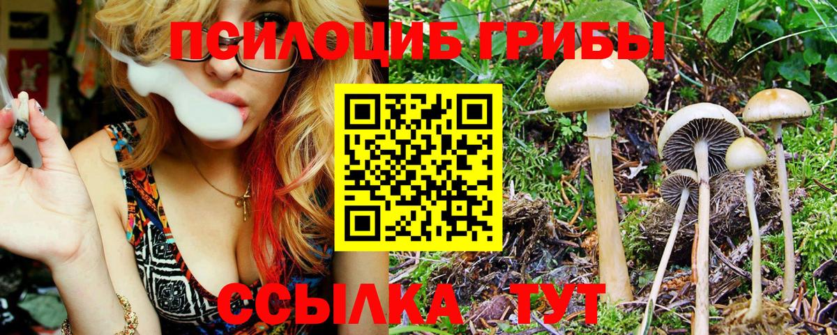 Псилоцибиновые грибы Magic Shrooms Дедовск
