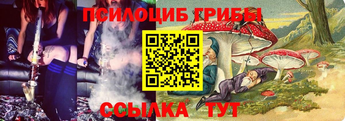 Галлюциногенные грибы Cubensis  Вход с VPN  Дедовск 